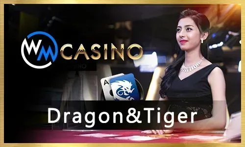Ultimate Guide to okfun Slots